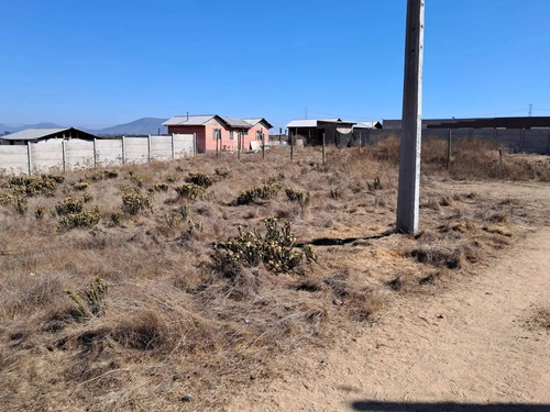 Terreno Plano