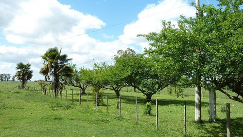 Imagen 13 de 25 de Campo En Venta En Lezama - 530 Has. Ideal Turismo Rural Con Laguna. Pesca - Retasado