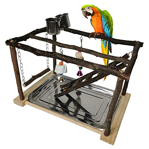 Parrots Playstand, Gimnasio De Juego Pájaros, Parque D...