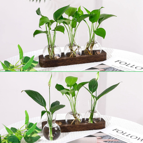 New Estaciones De Propagación De Plantas Estación De Maceta
