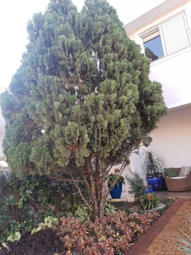 Imagem 6 de 29 de Casa Com 4 Dormitórios À Venda, 229 M² Por R$ 1.150.000,00 - Nova Pompéia - Piracicaba/sp - Ca3893