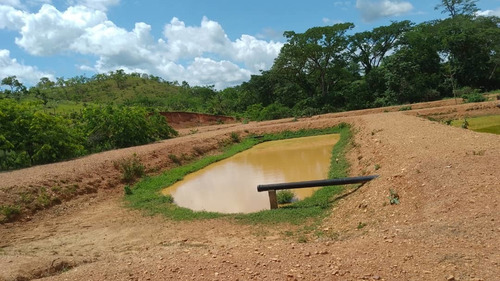 Imagen 3 de 14 de 12997 Katherine Castillo 0412-8567234 Venta Finca Ojo De Agua Via Acarigua