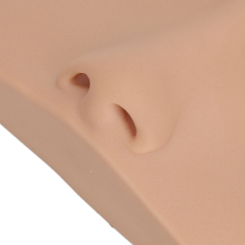Maniquí De Pestañas Con Forma De Cabeza De Muñeca Para Exten