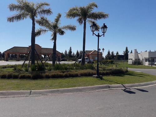 Imagen 6 de 8 de Terreno - San Gabriel