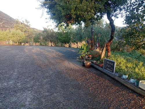 Venta De Parcela Con Casa En Lomas De San Isidro, Quillota