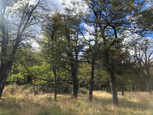 Se Vende Hermoso Sitio En Laguna Sofia De 13.774 M2