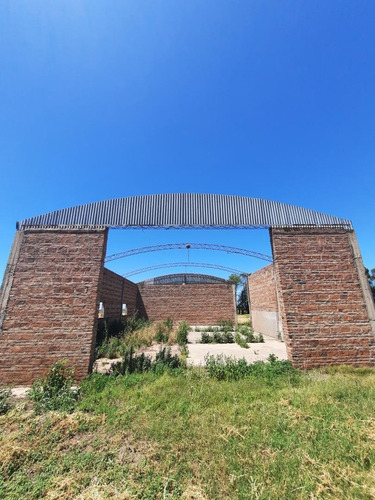 Imagen 7 de 12 de Venta Campo En Soldini