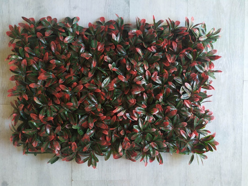 Imagen 2 de 4 de Set X 3 Jardin Vertical Eugenia 40x60