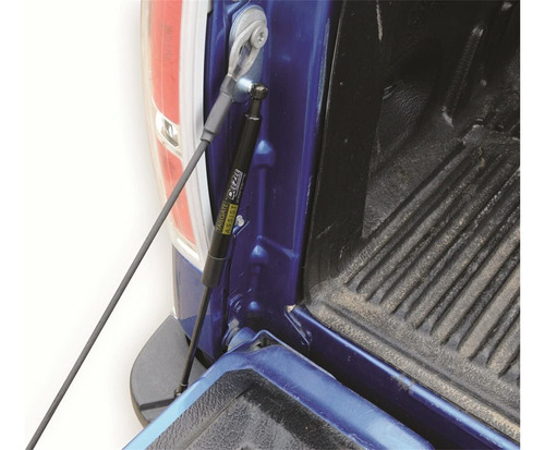 Dee Zee Dz43203. Asistente Para El Porton Trasero