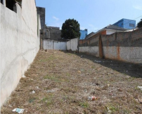 Imagem 3 de 5 de Terreno - Te-28 - 32142530