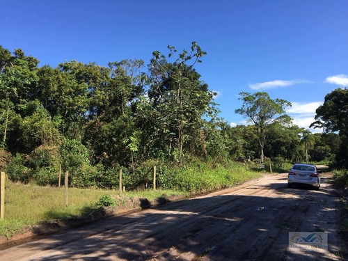 Imagem 5 de 5 de Terreno Lote Para Venda Em Brandalize (pontal) Itapoá-sc - 540