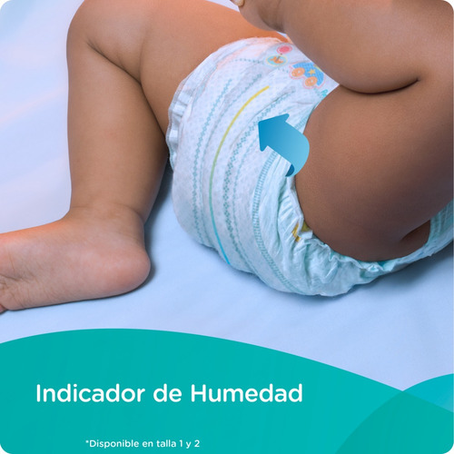 Pañales Pampers Baby Dry, Talla 1, 174 Piezas