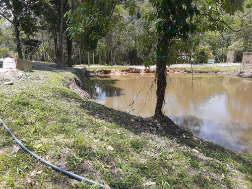 Chácara / 3.000m2 / Lago Com Peixe / 1 Km Da Br