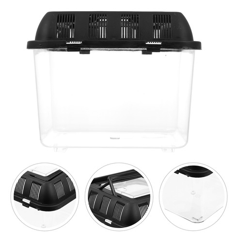 Caja Para Mascotas Tortoise Tank Climbing