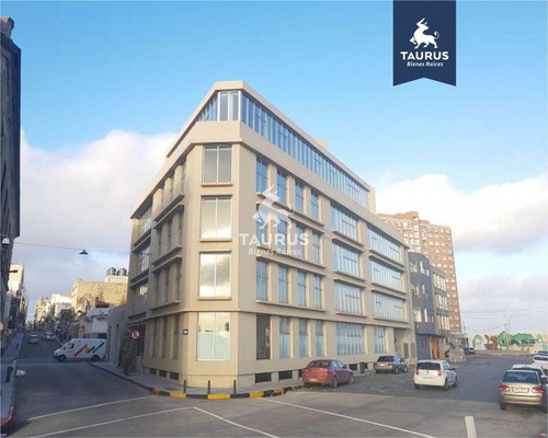 Oficina - Ciudad Vieja