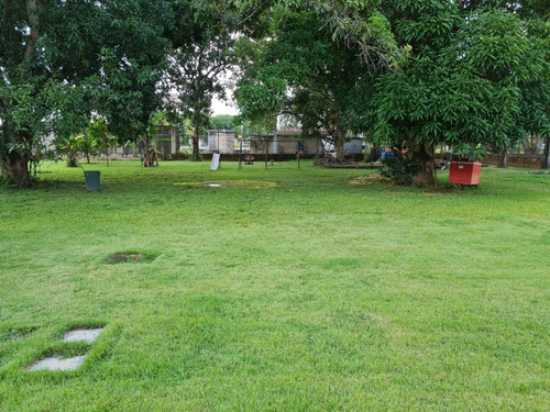 Imagen 14 de 15 de Altacasa Vende Hermosa Finca En Sabana Del Medio, Municipio Libertador Tocuyito