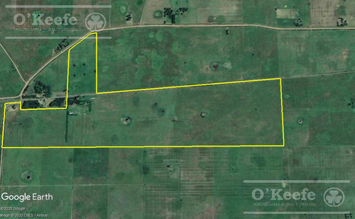 Imagen 9 de 12 de Campo Mixto En Las Flores De 200 Has . A 3 Km De Ruta 3