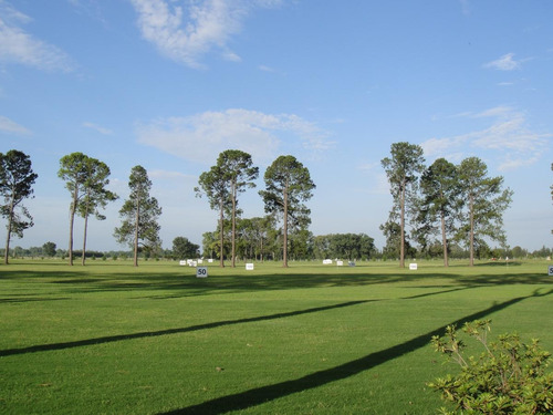 Imagen 12 de 12 de Terreno - Los Pinares C. Club