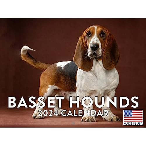 Calendario Del Basset Hound 2024, Calendario De Pared