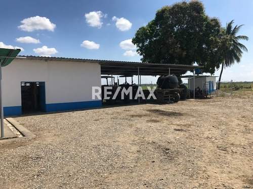 Finca Agrícola Pimpinela
