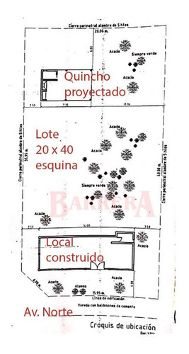 Imagen 28 de 29 de Local C/depósito S/av. Norte Sobre Lote 800 M2
