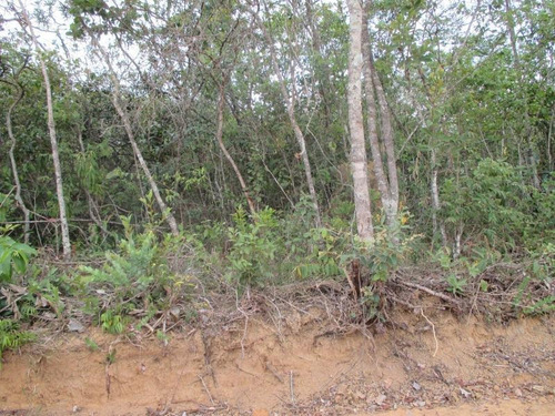 Imagem 5 de 15 de Terreno Para Venda Em Esmeraldas, Floresta Encantada - T23_1-1019445
