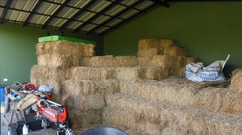 Imagen 8 de 26 de Quinte En Venta - 5 Dormitorios 3 Baños - 37ha Totales - Campo Funke
