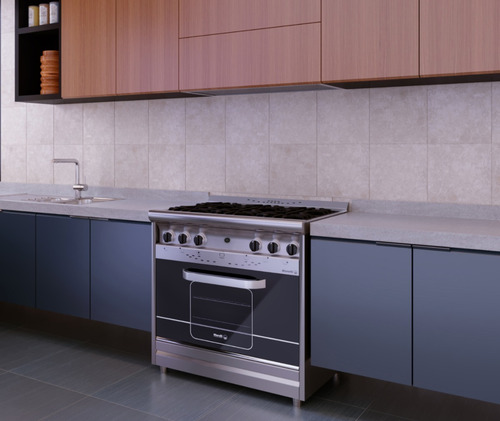 Imagen 2 de 9 de Cocina Industrial Morelli Country Forza 900 Encendido Oferta