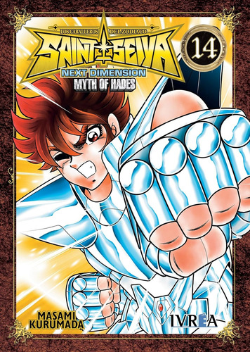 Libro Saint Seiya 14 [ Next Dimension ] Myth Of Hades Manga