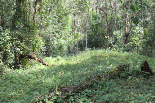 Lindo Terreno Com 7835m2 E 80% De Aproveitamento - Ch0003