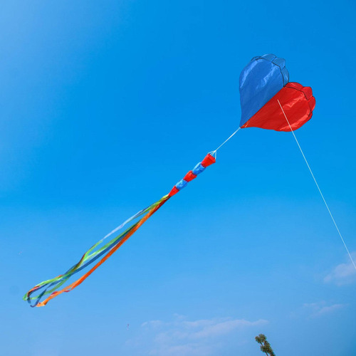 Cometas Voladoras De Playa, Deportes Gigantes 3d, Regalos