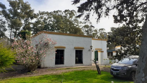 Campo C/ Caballerizas Y Casa Colonial - Villa Elisa