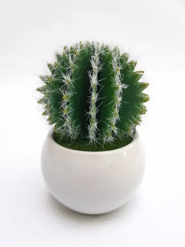 Cactus Maceta Planta Artificial 12 Cm Decoración Sheshu Home