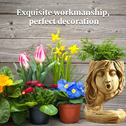 Maceta Para Flores Con Forma De Corazón, Suculentas, Maceta