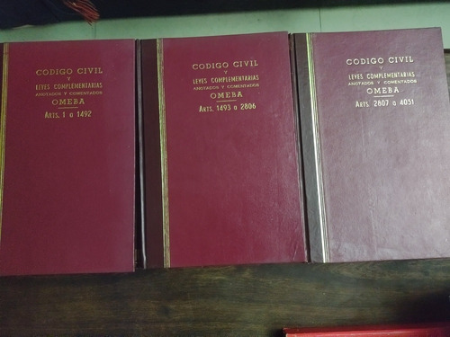 Código Civil Y Leyes Complementarias Ed. Anotada Goldstein 