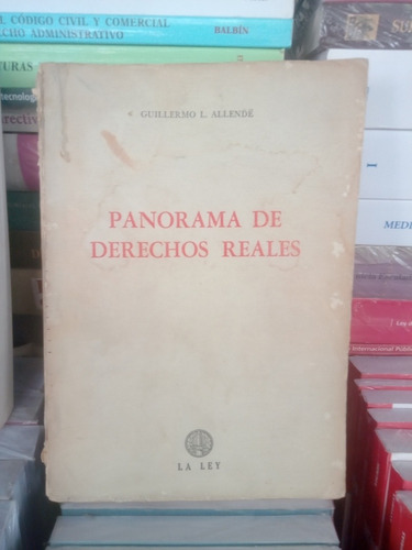 Guillermo L. Allende / Panorama De Derechos Reales