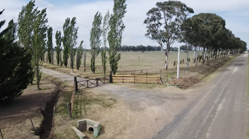 Venta | Chacra San Antonio De Areco