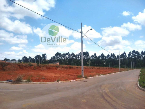 Imagem 6 de 8 de Terreno A Venda No Bairro Colônia Dona Luíza Em Ponta - 30125-1