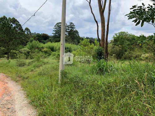 Imagem 8 de 13 de Área 96000m², Brotas (caucaia Do Alt0) - R$ 5.76 Mi, Cod: 4069 - V4069
