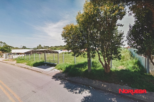 Imagem 3 de 4 de Terreno Para Alugar - 36066.001