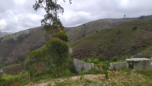 Imagen 14 de 14 de Tomhouse Colinas Avp Calle Petaquire