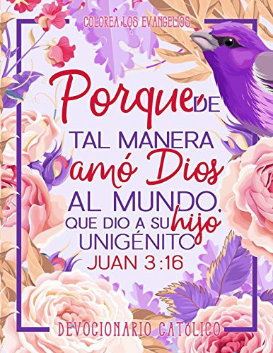 Colorea Los Evangelios: Devocionario Católico: Un Libro De C