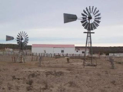 Imagen 9 de 10 de Campo - Biedma