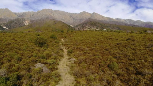Imagen 6 de 18 de Último Terreno De Altura En Venta De 5.000 M2, Las Rabonas, Traslasierra