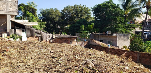Imagen 3 de 15 de Lote Dharma
