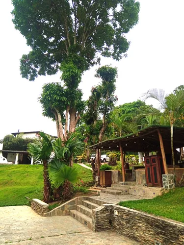 Oripoto,avenida Tamanaco