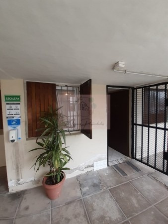 Imagen 5 de 23 de Departamento B4