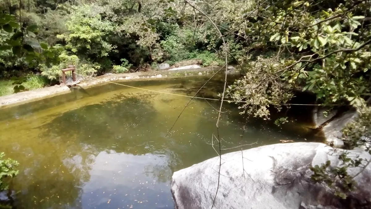 Esplendido Rancho De Productividad En Arriaga Chiapas