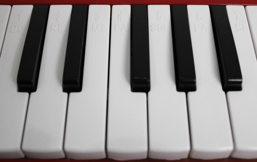 Melodica Escolar Leonard 32 Notas Con Funda Color Rojo