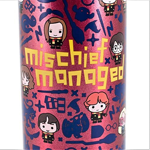Botella De Agua De Acero Inoxidable De Harry Potter - Con El